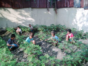 berkebun.jpg